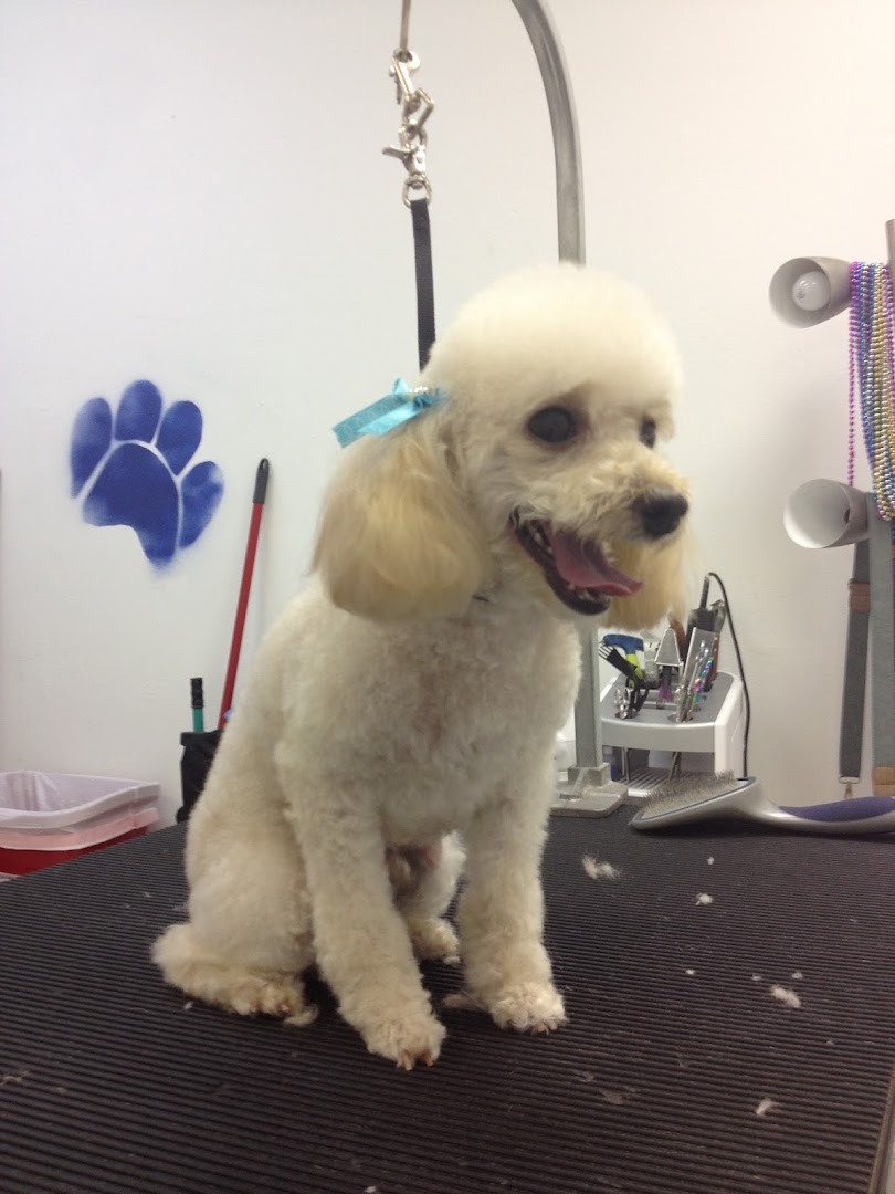 Pet Epoque Grooming