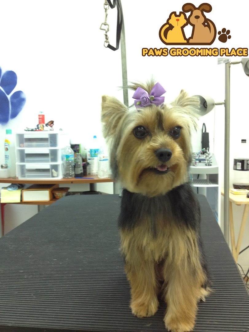 Pet Epoque Grooming