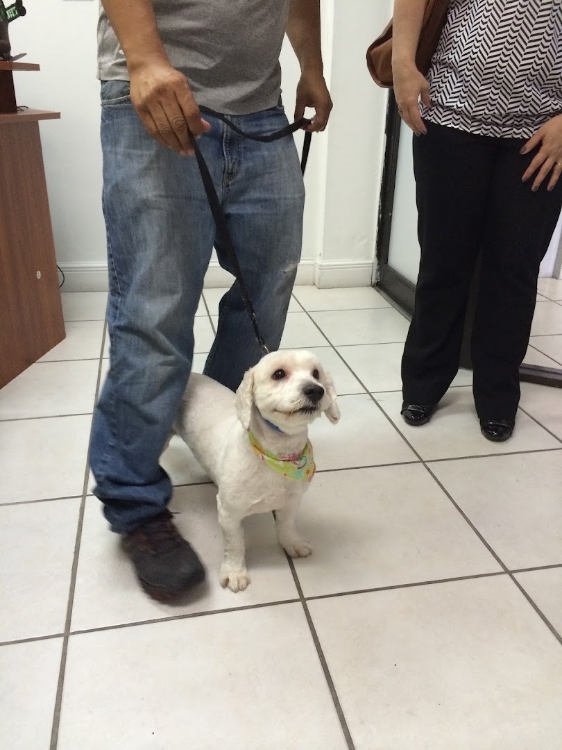 Pet Epoque Grooming