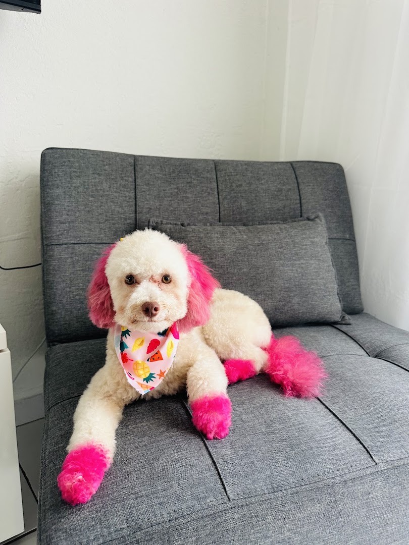 Pet Epoque Grooming