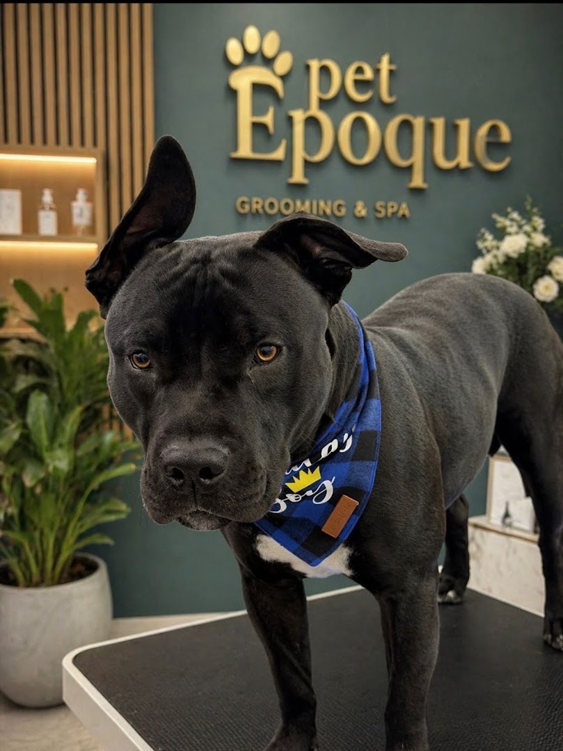 Pet Epoque Grooming