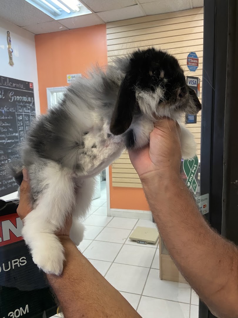 Pet Epoque Grooming