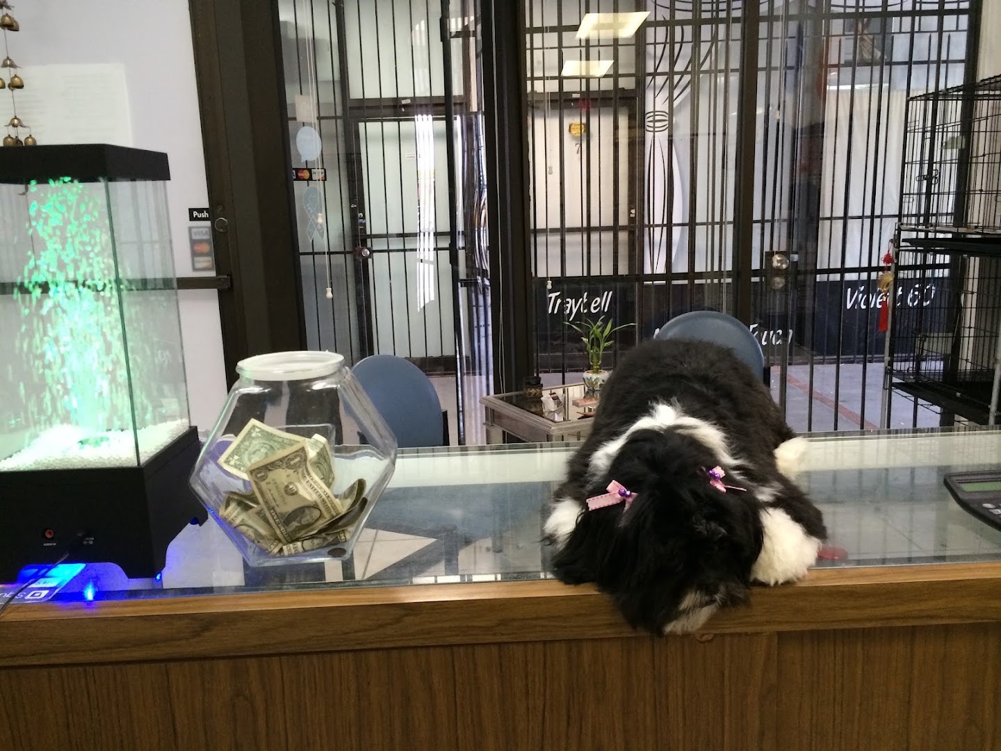 Pet Epoque Grooming