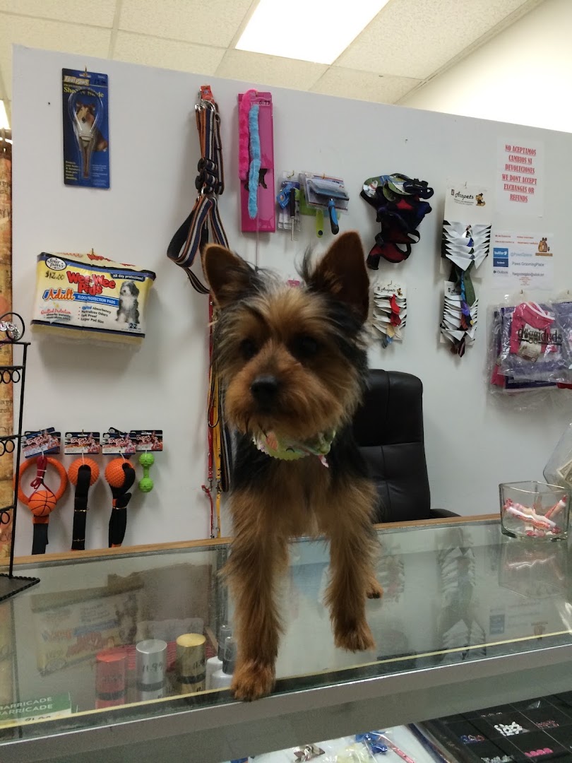 Pet Epoque Grooming &mdash; the room