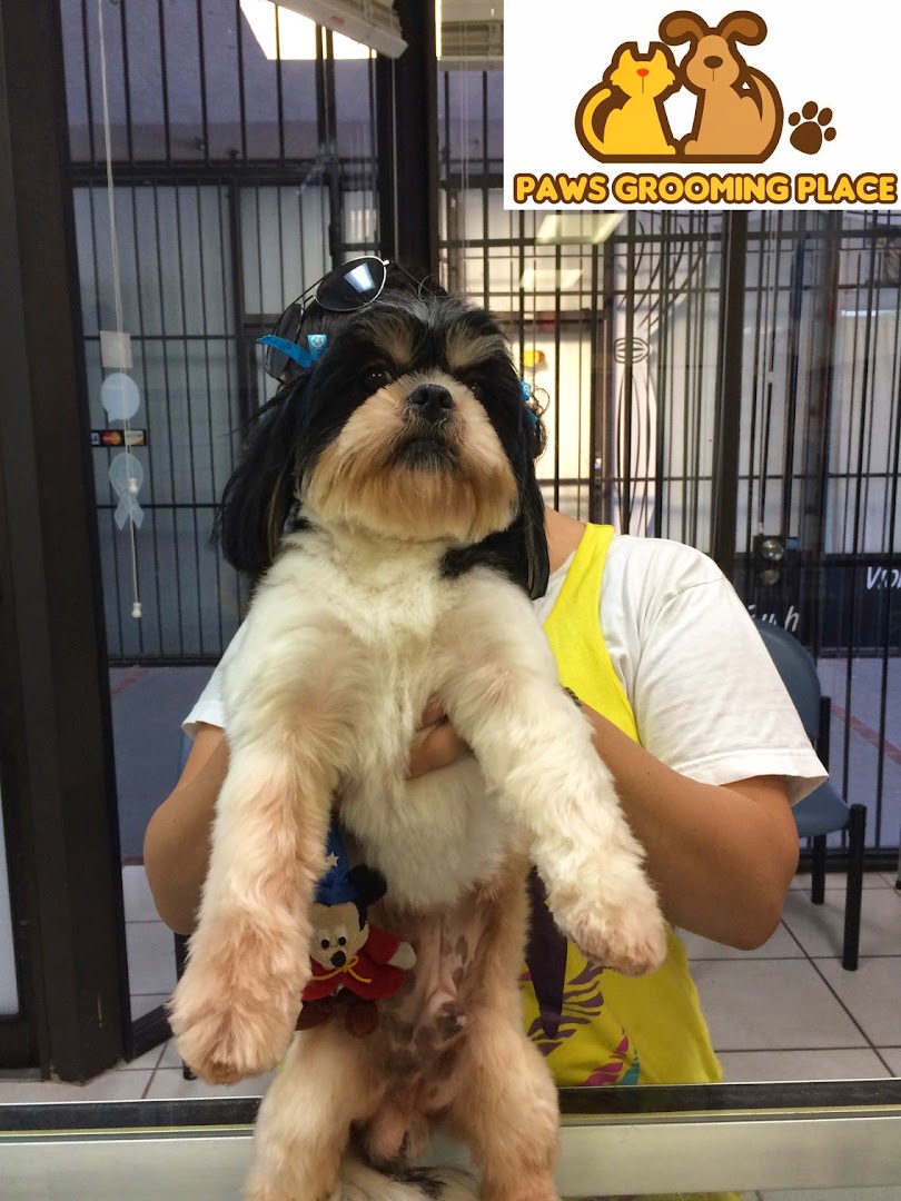 Pet Epoque Grooming &mdash; the room
